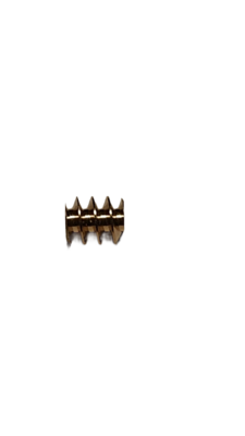 micromotor W0.5-5-6  Wormwiel M0.5 D=ø5 L=6 DI=1.5 mm