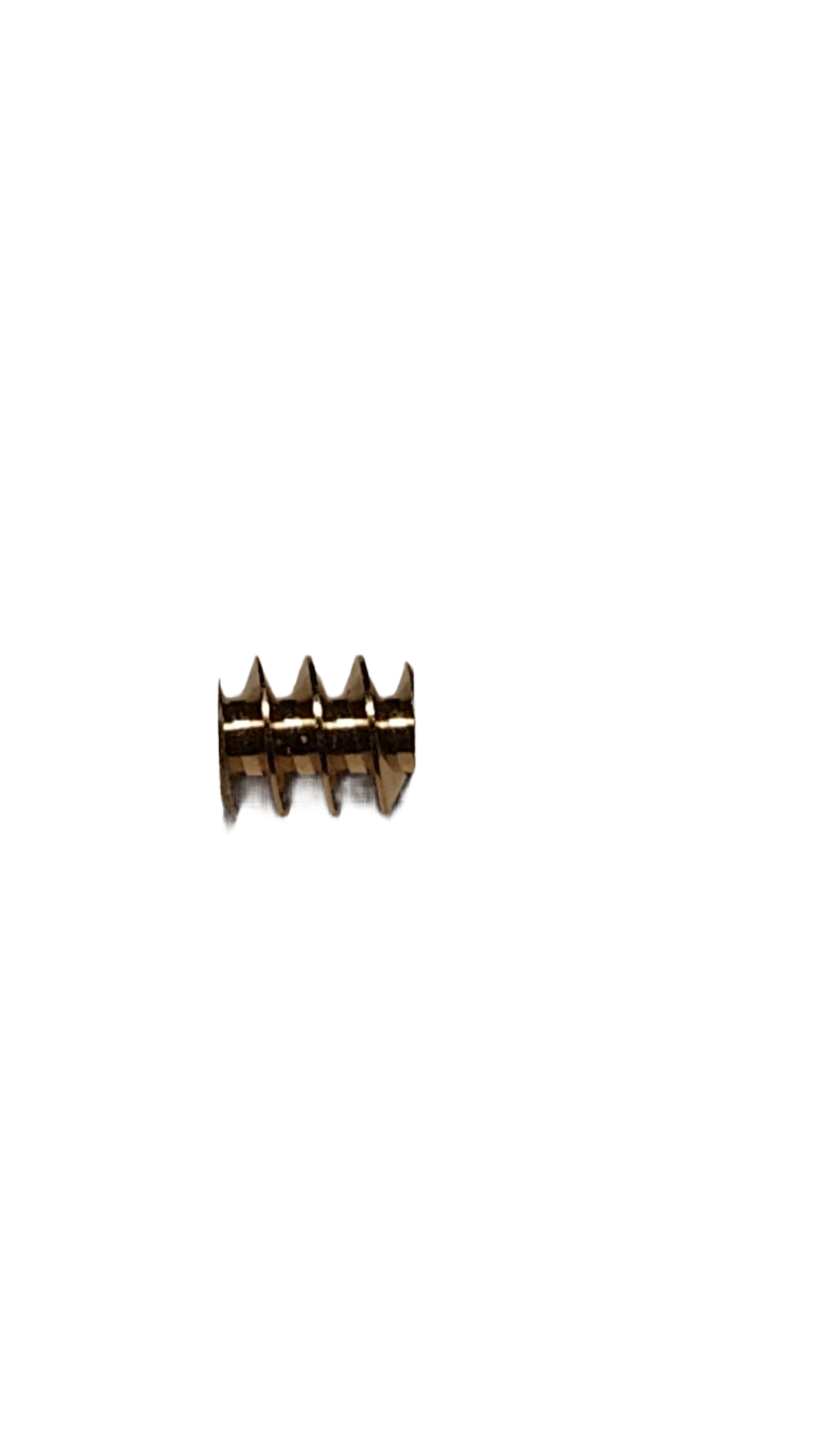 micromotor W0.5-5-6 Wormwiel M0.5 D=ø5 L=6 DI=1.5 mm